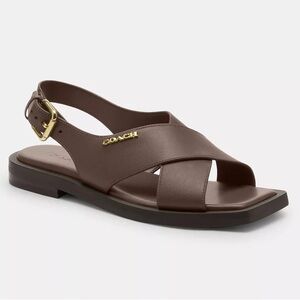 Coach LNK Cross Criss Cross Leather Sandals Dark Stone Size 6 NIB